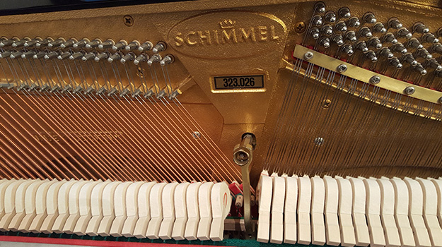 schimmel 11 2018 04